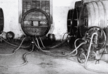 Київське вино: історія появи та його відродження