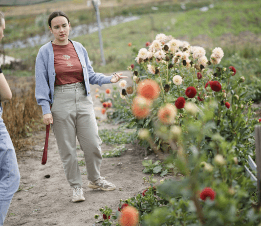 Як працює квітковий бізнес в столиці: історії компаній з Київщини