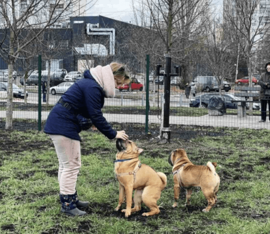 Спеціалізовані майданчики для прогулянки з тваринами в Києві