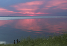 Таємниці Канівського водосховища