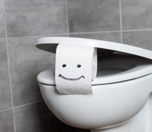 Что делать если засорился унитаз: чистка, профилактика