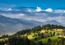 Магія українських Карпат. Що варто знати про тури в Карпати з Києва?