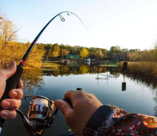 Ідеальна риболовля: секрети успіху та вибір правильного сигналізатора клювання
