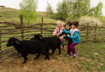 Найвідоміші екологічні ферми Київщини