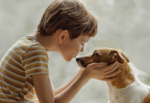 Кращі зоомагазини у місті