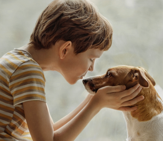 Лучшие зоомагазины в городе