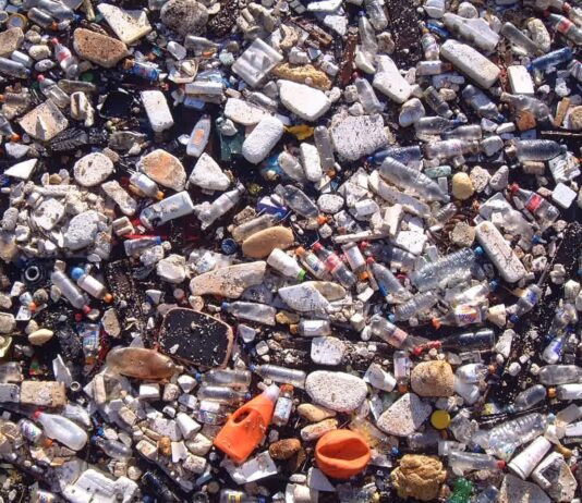 История Обуховской свалки