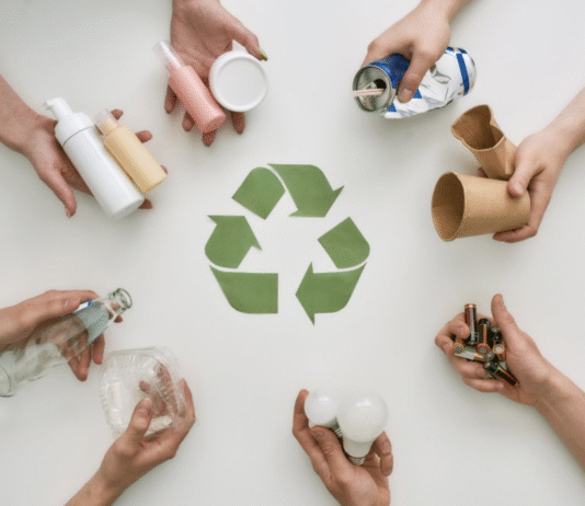 «Планета Пластик» перетворює відходи на ресурс і доводить, що бізнес може бути екологічним