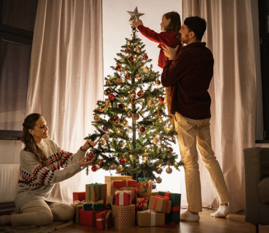 Де купити ялинку у Києві?