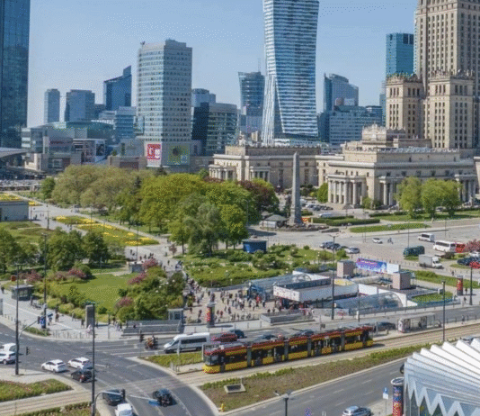 Куди вступати на менеджмент в Польщі?