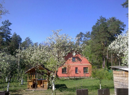 Від декорацій «Сватів» до фортеці Києва: Трагедія та тріумф незламного Мощуна