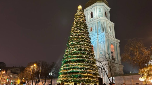 Новорічна магія 2026: де шукати ідеальну ялинку в Києві та як не помилитися з вибором