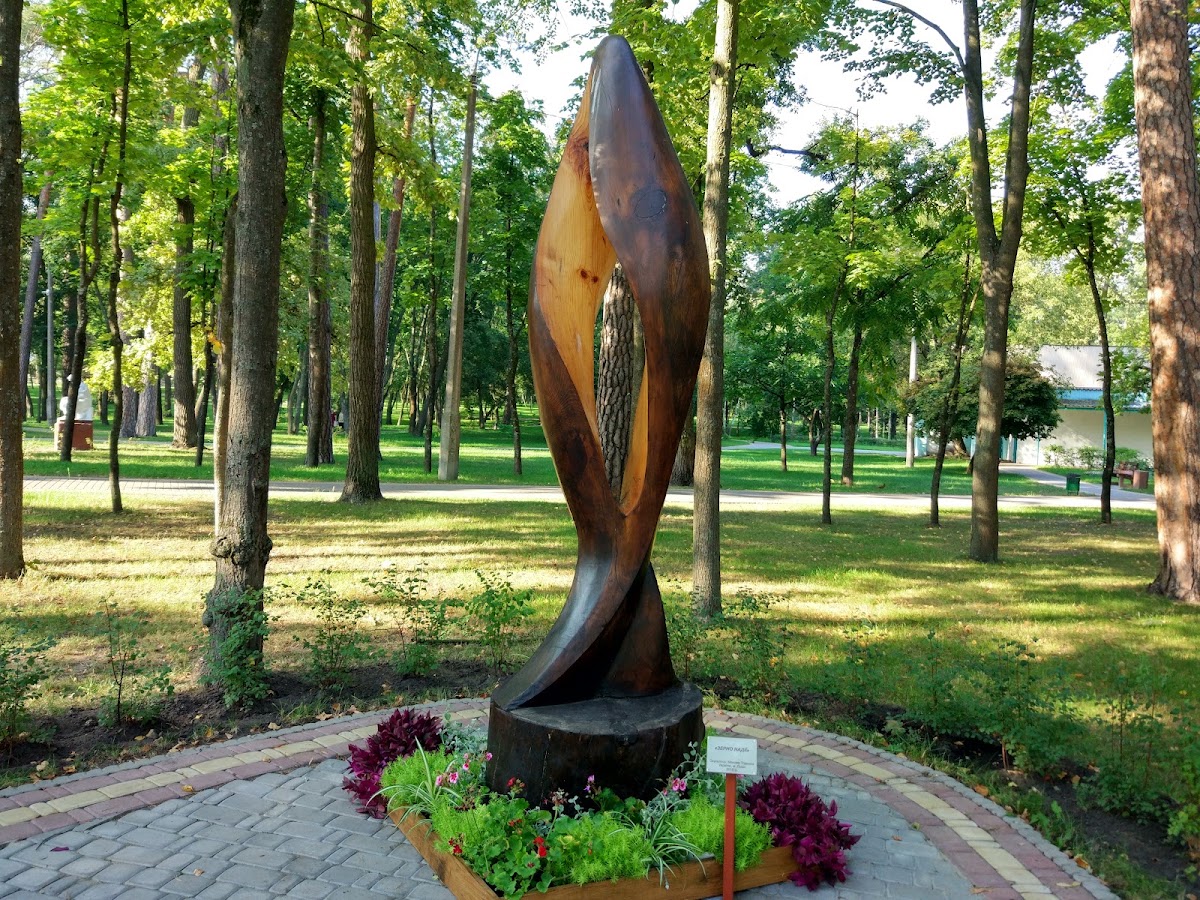 Парк “Пуща Водиця” — Park
